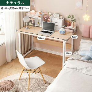 PCfXN p\RfXN PCbN wK wKfXN PCfXN 100cm s40cm gȒP l炵 󂠂@ATr