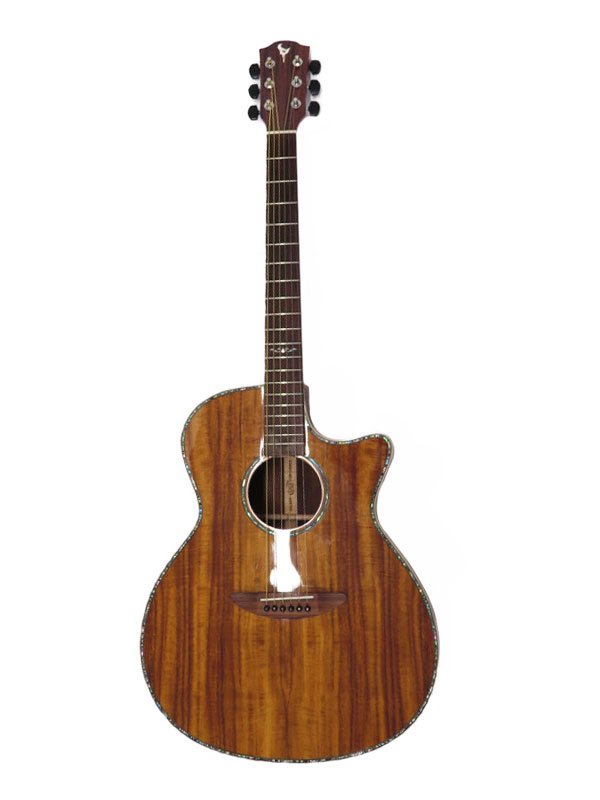 ディーシーティー『E.アコースティックギター』GR-641K CE 2021年製 1週間保証