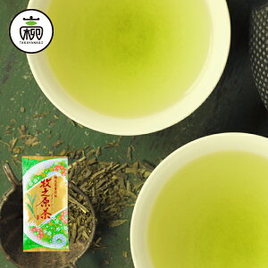 }{puv[100gÉ { [ t }{p 