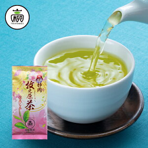 }{puɏv100gÉ { Β t  }{p  Ԃ