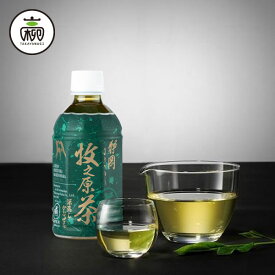 【グッドデザイン静岡2020匠賞受賞】加飾なし 牧之原茶プレミアムペットボトル　350ml×24(ケース単位)【ふじのくに新商品セレクション2018金賞受賞商品】お茶 静岡茶 静岡県産 プレミアム 高級 日本茶 ペットボトル 高柳製茶