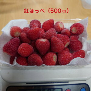 Ⓚ gق Y 2025NxY  500g ⓀXgx[ Ⓚʎ X[W[ W