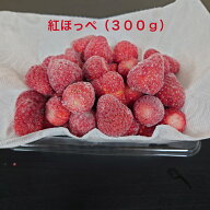 冷凍いちご よつぼし 紅ほっぺ 国産 2026年度産 いちご 300g 冷凍ストロベリー 冷凍果実 スムージー ジャム