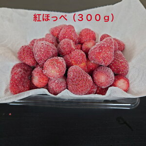 Ⓚ gق Y 2025NxY  300g ⓀXgx[ Ⓚʎ X[W[ W