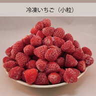 冷凍果物 冷凍フルーツ 冷凍苺 冷凍イチゴ 冷凍いちご よつぼし 紅ほっぺ 国産 2026年度産 いちご 1kg 冷…