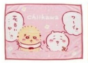  Ђ| uPbgchiikawa Ђ ~jѕz ѕz h ^I 킢 lC