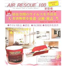 エアレスキュー 抗菌 抗ウイルス 抗カビ ウイルス除去 消臭 カビ 抑制 浄化 カビ ウイルス 環境浄化改善 リビング 居住空間