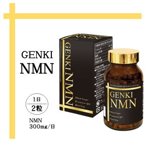 GENKI NMN jR`A~hmkNI`h NMN  T[`C`q NAD Xxg[ RGUCQ10 oCI؃ PQQ  זE e ~gRhA GlM[ Y { T