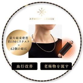 アーマーテラス 【テラヘルツ鉱石モデル】 健康 アクセサリー 血行 促進 血流 改善 医療機器 肩こり コリ ほぐし 磁気 ネックレス テラヘルツ 鉱石 首 脳 頭痛 筋肉 指定管理医療機器 高級 永久磁石 磁石 スポーツ選手 使用 アスリート スポーツ パフォーマンス