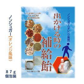 塩飴 出かける時の補給飴 87g 約22粒 熱中症 夏バテ 対策 塩分補給 おすすめ 漢方 補中益気湯 生薬 ミネラル 赤穂の塩 夏 お出かけ 電解質 個包装 人参 ナツメ 甘草 ウイキョウ 生姜 蜜柑の皮 紅花 大麦 大豆 タウリン クエン酸 ノンシュガー オレンジ風味 送料無料