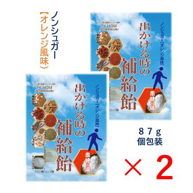 【2個セット】出かける時の補給飴 熱中症 対策 塩分 補給 疲労 おすすめ 漢方 補中益気湯 生薬 ミネラル 赤穂の塩 夏 お出かけ 電解質 塩飴 個包装 人参 ナツメ 甘草 ウイキョウ 生姜 蜜柑の皮 紅花 大豆 タウリン クエン酸 リンゴ酸 ノンシュガー オレンジ風味 送料無料