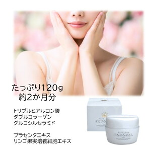 I[C ϐ et t N[ ωn pbN  F ێN[  PA XLPA N ϕi  z pxt[ AR[t[ 