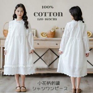 ԕh?@t݁@Vcs[X@Jbg[N[X [X@s[X@100%Rbgȗnt@̎qqp}LV@tHpeBA[hqLbYWjA@X