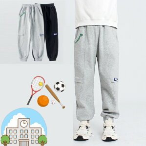 WK[pc85%Ȑn@Opc@Y{@XLj[WK[@LbY@Y{@pc@ъԊwZ@wZs@h@hh~@q@j̎qWjAp@jp q