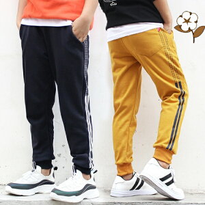 WK[pc@95%Ȑn@Opc@Y{@XLj[WK[@LbY@Y{@pc@ъԊwZ@wZs@h@hh~@q@j̎qWjAp@jp q