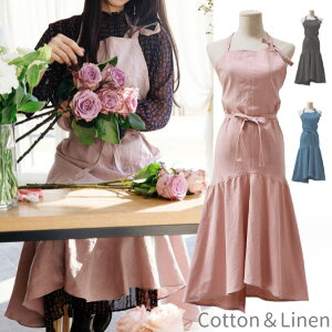 Gv  l Ǝp@s[X  ₷  R fB[X ۈm Rс@ Ɓ@ԉӂ Vv n obNNX WXJ  Rbg l 