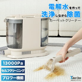 【本日P5倍+特典付き】 カーペットクリーナー 布洗浄機 電解水 除菌 自動散水 13000Pa 絨毯 ラグ ソファ ペット 飲みこぼし 床 シミ抜き 布団クリーナー 水掃除機 布製品 車 車用品 リンサー CT-100 Take-One(テイクワン)