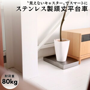 XeX䕽 45×30cm NAR[gH b  Vv ƓdbN v^[ g[[ h[[ z[L[ S~u ϗtAp X^CbV wh~ |