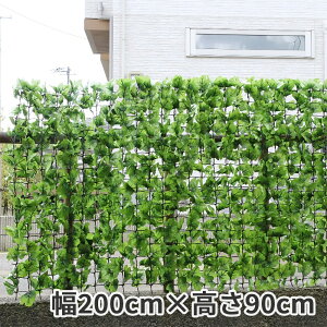 ډBlbg@200cm×90cm@O[J[e@O[tFX@΁@tρ@tFCNO[@[ttFX@@ډB@x_@@ʂ@[