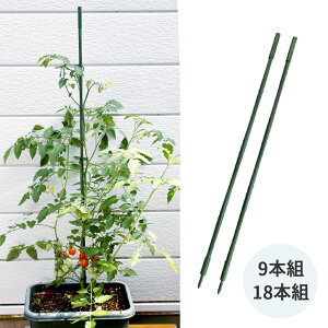 Ax@Ał鉀|x@WCg@lWݎ@9{g@18{g@A@؁@Rei͔|@c@c^@K[fjO@|@RpNg[