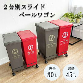 ≪在庫限り!特別価格商品≫2分別 スライドペールワゴン 30L 45L ダストボックス ごみ箱 ゴミ箱 分別 ペール2個 キャスター付き 袋止め付き ワゴン 台車 ブラウン スチール製 頑丈 日本製 国産