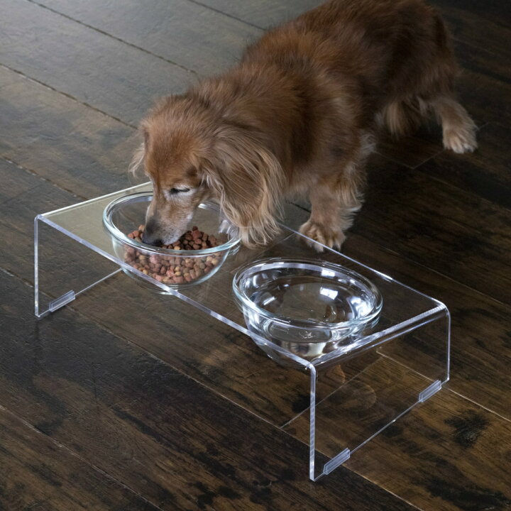 楽天市場 おしゃれなペットフードテーブル 餌台おしゃれ ペット用食事台 ペット用食器スタンド 犬 猫 フードボウル 餌入れ エサ台 えさ台 アクリル 透明 可愛い 平置き 斜め置き 送料無料 Take A Rest The North Land