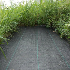 楽天市場 防草シート 短の通販