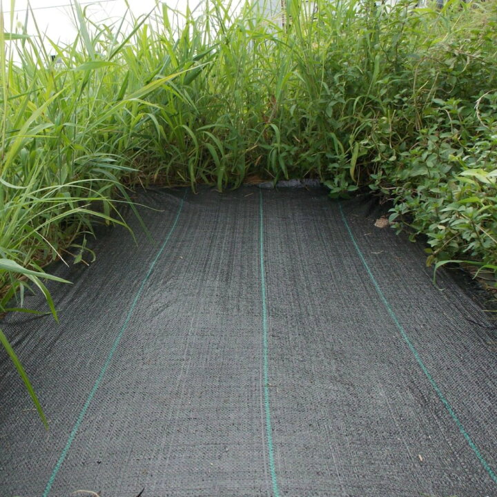 楽天市場 ファブリック防草シート 10m コンパクト 小さい 短い 除草シート 雑草シート 雑草対策 雑草防止 遮光性 透水性 厚地 庭 軒下 園芸 ガーデニング 農業資材 黒 防草効果 芝生 花壇 家庭菜園 カット 園芸用品 園芸資材 水耕栽培 下草防止 下草処理 Take A Rest