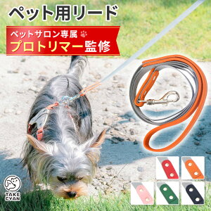 yybgTg}[ďCz[h  v ^ ^ ^ UObY Up[h ybgpi ybgObY 