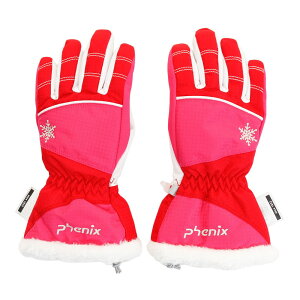 (tFjbNXjt@[K[YO[u EC^[pi ܎wO[u PS8H8GL91 DR