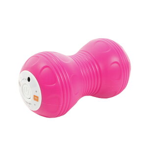 (BODY SCULPTURE)パワーウェーブボール ウエルネス フィットネス器具 TKS81HM048