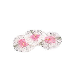 (R[}jColeman }g(VtHj[^j3 LsO Ɩ 68222