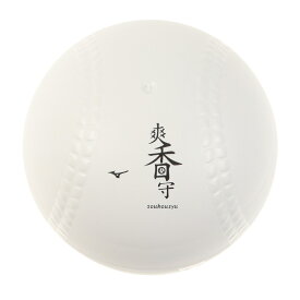 (ミズノ）MIZUNO 爽香守ボール型ケースお手入れ 野球 野球メンテナンス小物 1GJYG567001P
