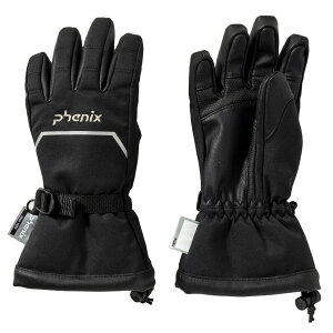 tFjbNX XL[X[vWjAO[u EC^[pi ܎wO[u ESB24GL83PH9900