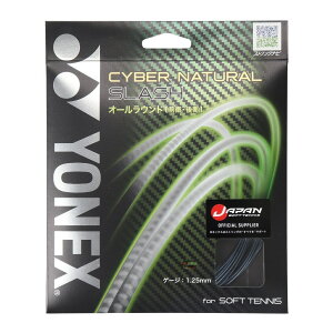 lbNX TCo[i`XbV PbgX|[c ejXXgO CSG550SL-490