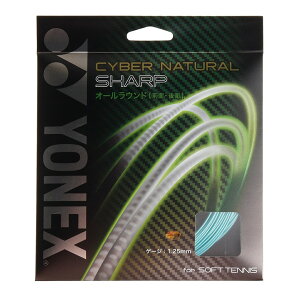 lbNX TCo[i`V[v PbgX|[c ejXXgO CSG550SP-384