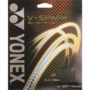 lbNX V|Xp[N PbgX|[c ejXXgO SGVS-101