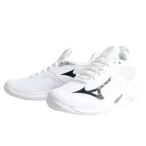 ~Ym EG[ufBV o[{[ [JbgSH V1GA224009