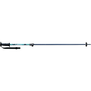 STREULE 25�@ST�|TL�@AL�@100�@�|125 �X�L�[ �J�[�r���O�X�L�[�|�[ ST24FG0022CH/TQ