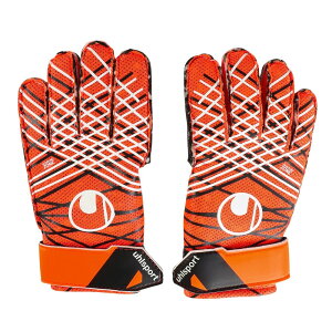 y50̂@Gg[00:00-23:59܂Ń|CgAbvzE[ E[V|g@X^[^[@WXg{ TbJ[ L[p[O[u 1011345-01