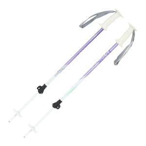 STREULE ST25FG0028�@LV�^W�@T �X�L�[ �J�[�r���O�X�L�[�|�[ 26ST-TL AL LVWT