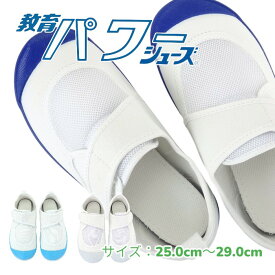教育パワーシューズ ホワイト ブルー 白 青 ライトブルー 25.0cm〜29.0cm 上履き 子供 大人用 幅広 体育館履き 校内履き 上靴 内履き 教育シューズ