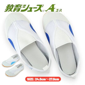 教育シューズ A エース MR2 青 ライト ブルー 白 24.0cm--27.0cm 水色 上履き スリッポン 校内履き 上靴 幅広 2足で送料無料