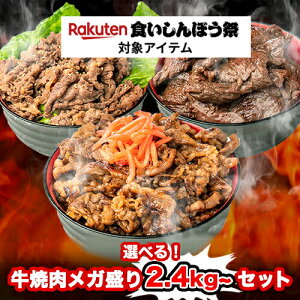 IׂIēK2.4kg~Zbg (120g×20pbN) cn n~ Jr vRM  t BBQ  y Ⓚ Hi Mtg  lߍ킹 Ɩp s plLt Ε 