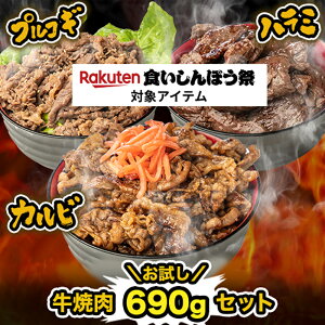 s plLt ē690gZbg (120g×5pbN) cn n~ Jr vRM  t BBQ  y Ⓚ Hi Mtg  lߍ킹 Ε nEB