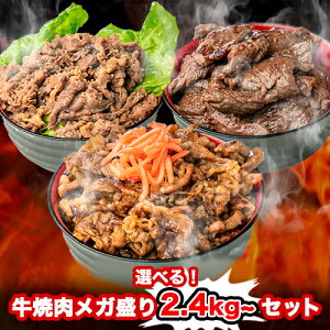 IׂIēK2.4kg~Zbg (120g×20pbN) cn n~ Jr vRM  t BBQ  y Ⓚ Hi Mtg  lߍ킹 Ɩp s plLt Ε 