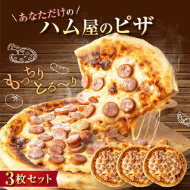 《 専用熨斗有》ハム屋のピザ3枚セット (トマトベース) 武田ハム ウィンナー ソーセージ チーズ 冷凍ピザ ピッツア 加工肉 食品 ギフト お取り寄せ 送料無料 誕生日