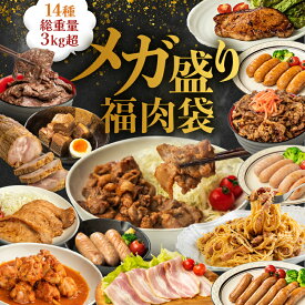 肉 3kg超 14種！【 メガ盛福肉袋 】 武田ハム 肉 詰め合わせ 冷凍 チャーシュー 角煮 ハラミ カルビ ベーコン 手羽元 生姜焼き ロース 味噌漬け パンチェッタ 味付け肉 セット 豚肉 加工肉 送料無料 ストック 冷凍 父の日