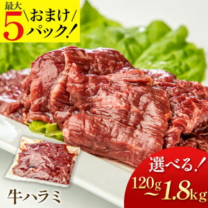 y݁zn~ēp 120g cn Ԑg  t o[xL[ BBQ Zbg  lΉ p Mtg  Ⓚ Ε NX}X