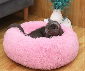 ^Lpybgxbh LlR ˂ ybgxbh  Ck  ӂӂ ^ ^ g ybgNbV  NbV Lxbh  킢 ~  􂦂 ܂肽